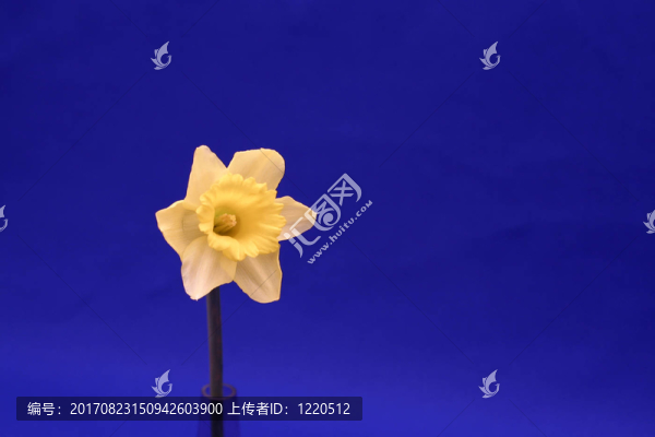 室內(nèi)照片
