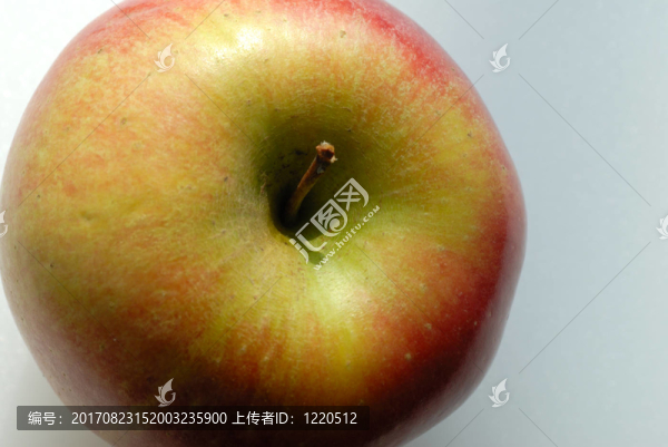 macro
