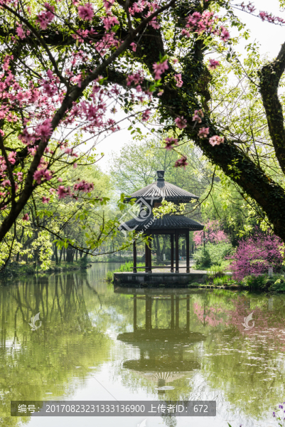 西湖周邊水景