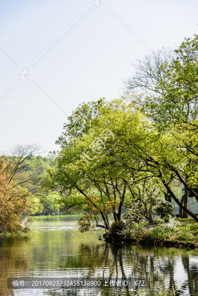 西湖周邊水景