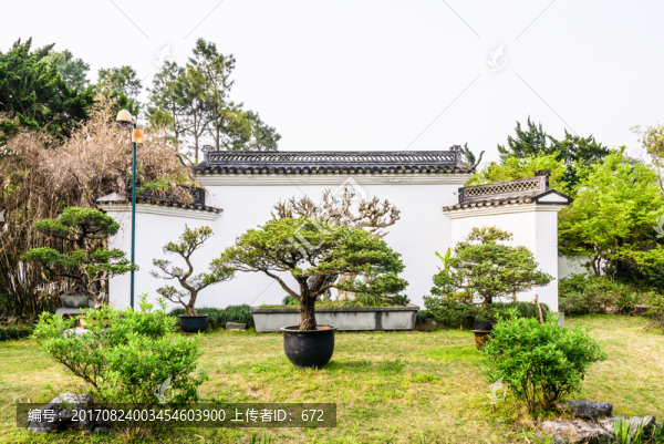 盆景園