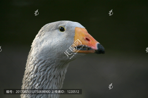 喝酒