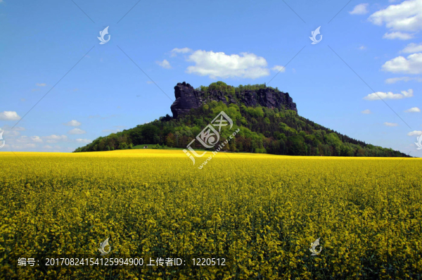 春天的風景