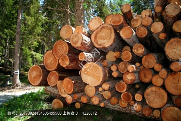 橙色