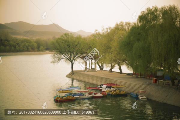 湖泊綠柳