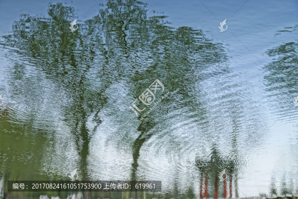 柳樹(shù)倒影