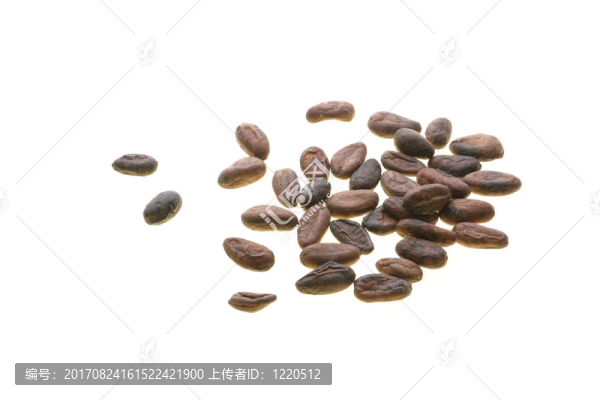 可可豆
