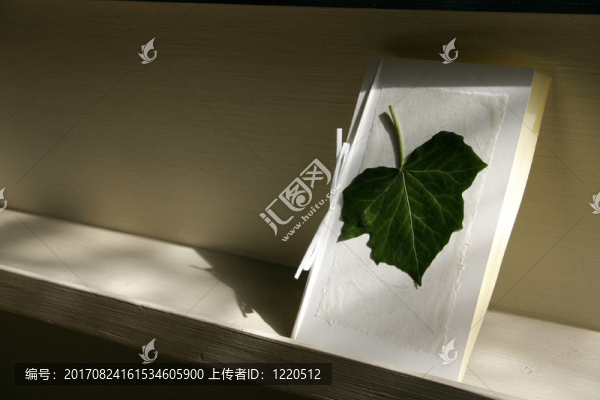 常春藤葉請柬