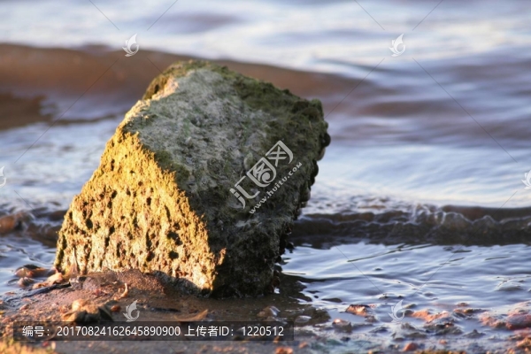 被水包圍
