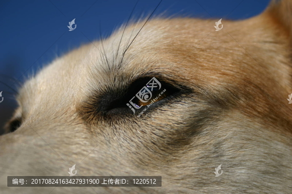 遠處的風(fēng)景我