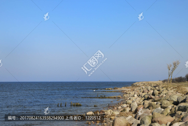 岸
