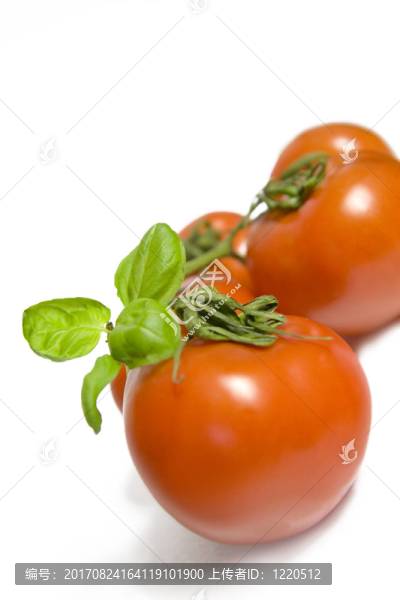 rispentomaten