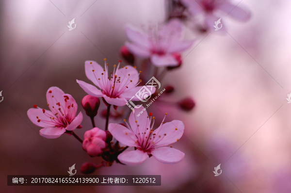 柔軟的