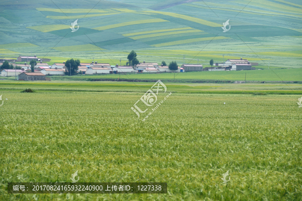 草原風光