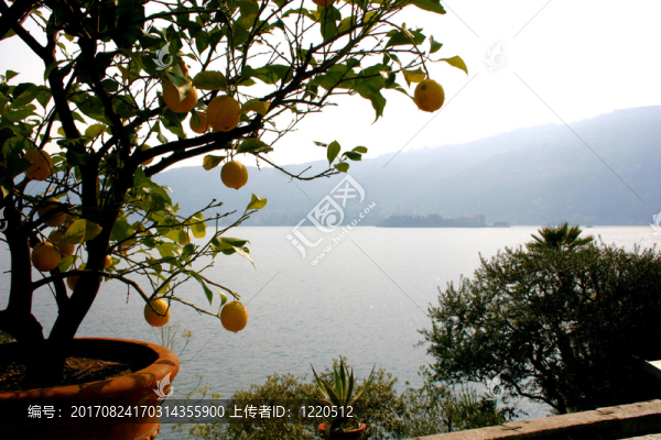 俯瞰奧