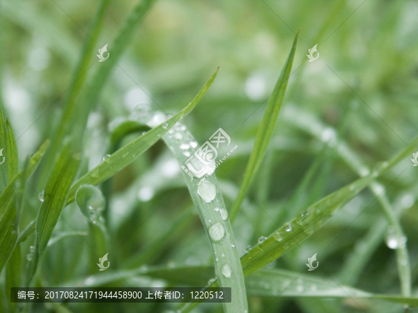 雨滴