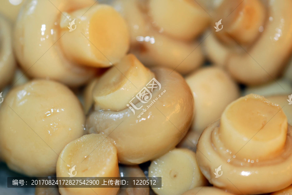 蘑菇