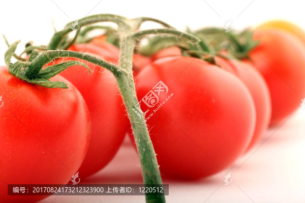 西紅柿