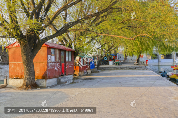 柳樹破屋子