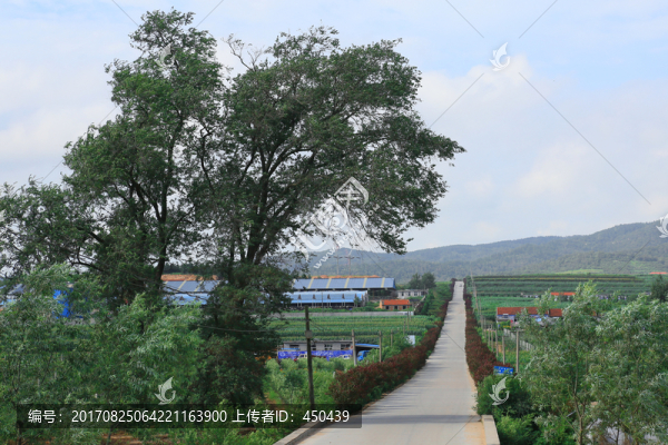 鄉(xiāng)間小路