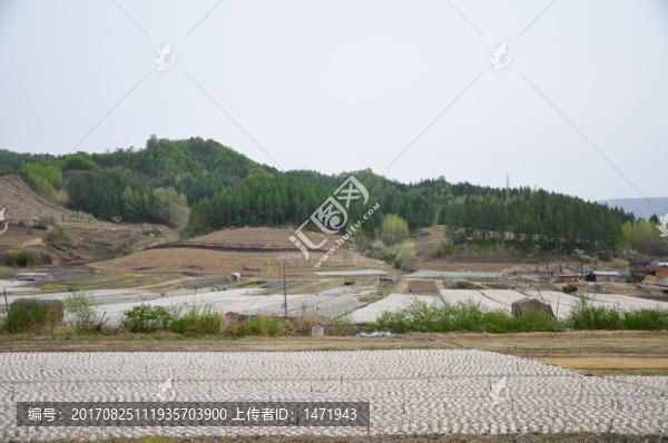 黃松甸木耳養(yǎng)殖基地