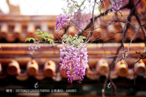故宮建筑物