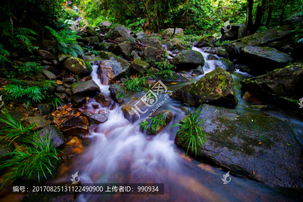 溪水,清澈的溪水