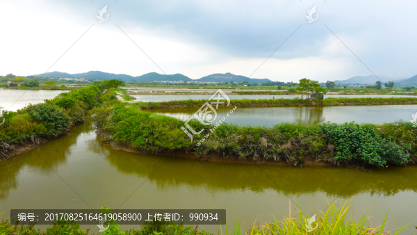 魚(yú)塘