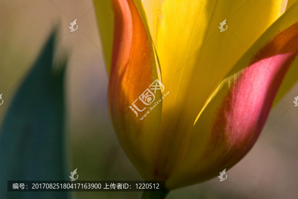 摘要
