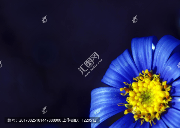 小但很漂亮