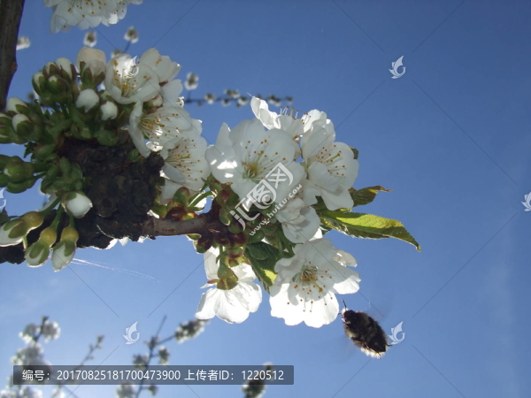 生活