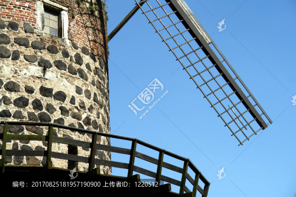 樹
