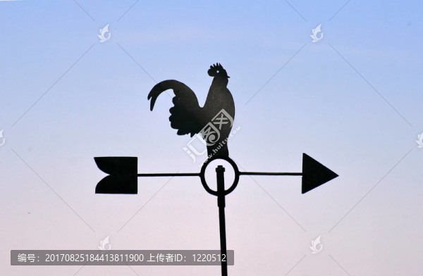 美麗的風(fēng)向標(biāo)
