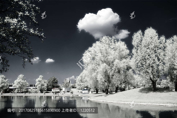 公園