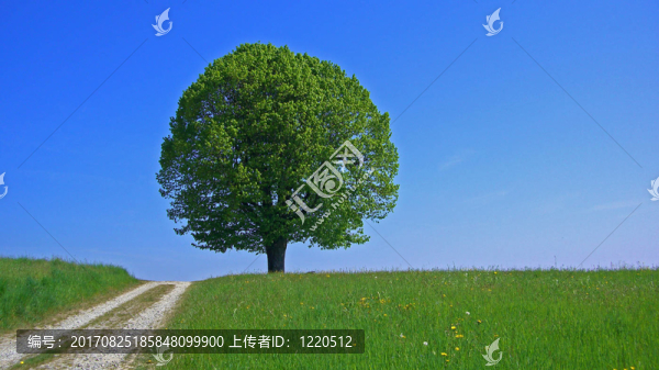 直線上升