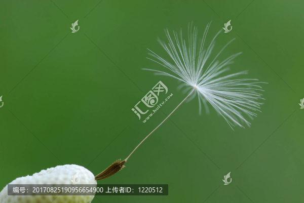 宏觀上