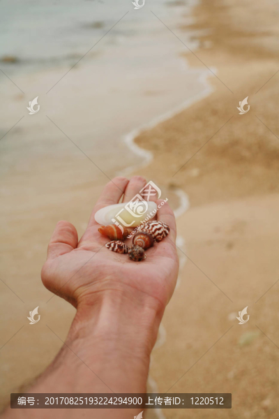 海洋
