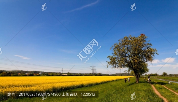 春天的心情