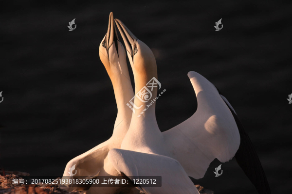 日出