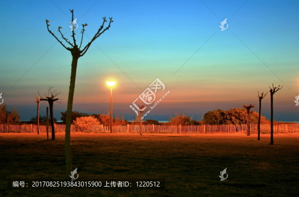 在白天和黑夜之間