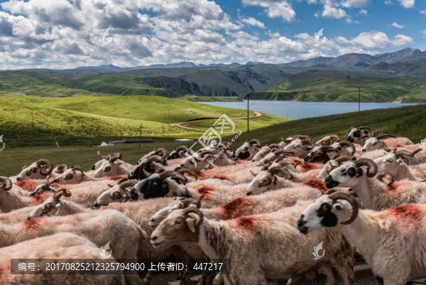 青海湖風(fēng)光