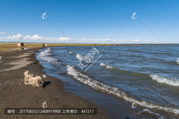 青海湖風光