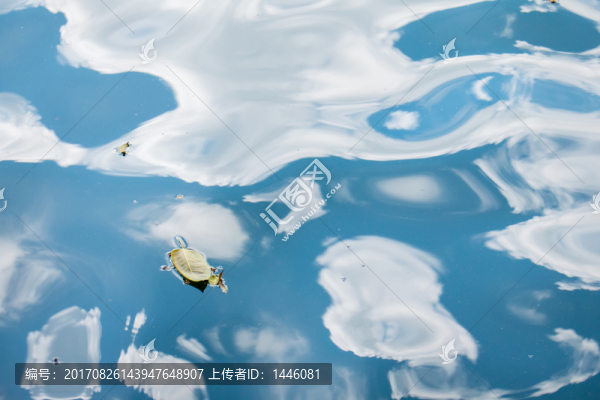 惠州西湖水面波浪紋