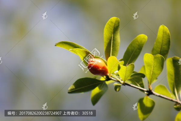 午后陽光