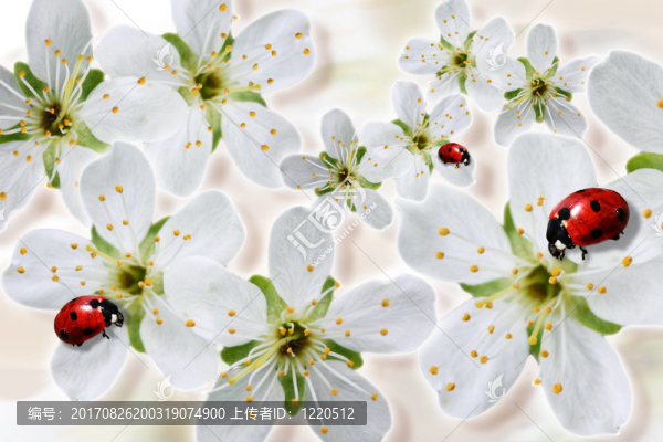 flowerpower