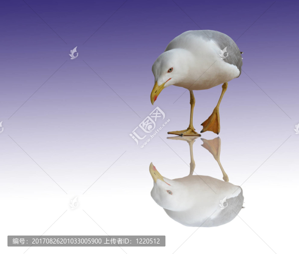 藍色