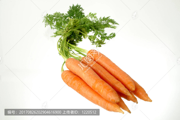 胡蘿卜外灘