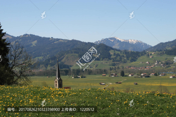 山