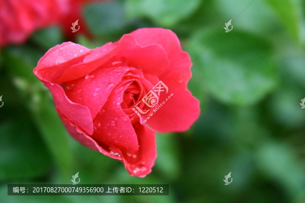 雨滴