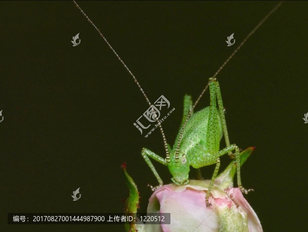 點(diǎn)
